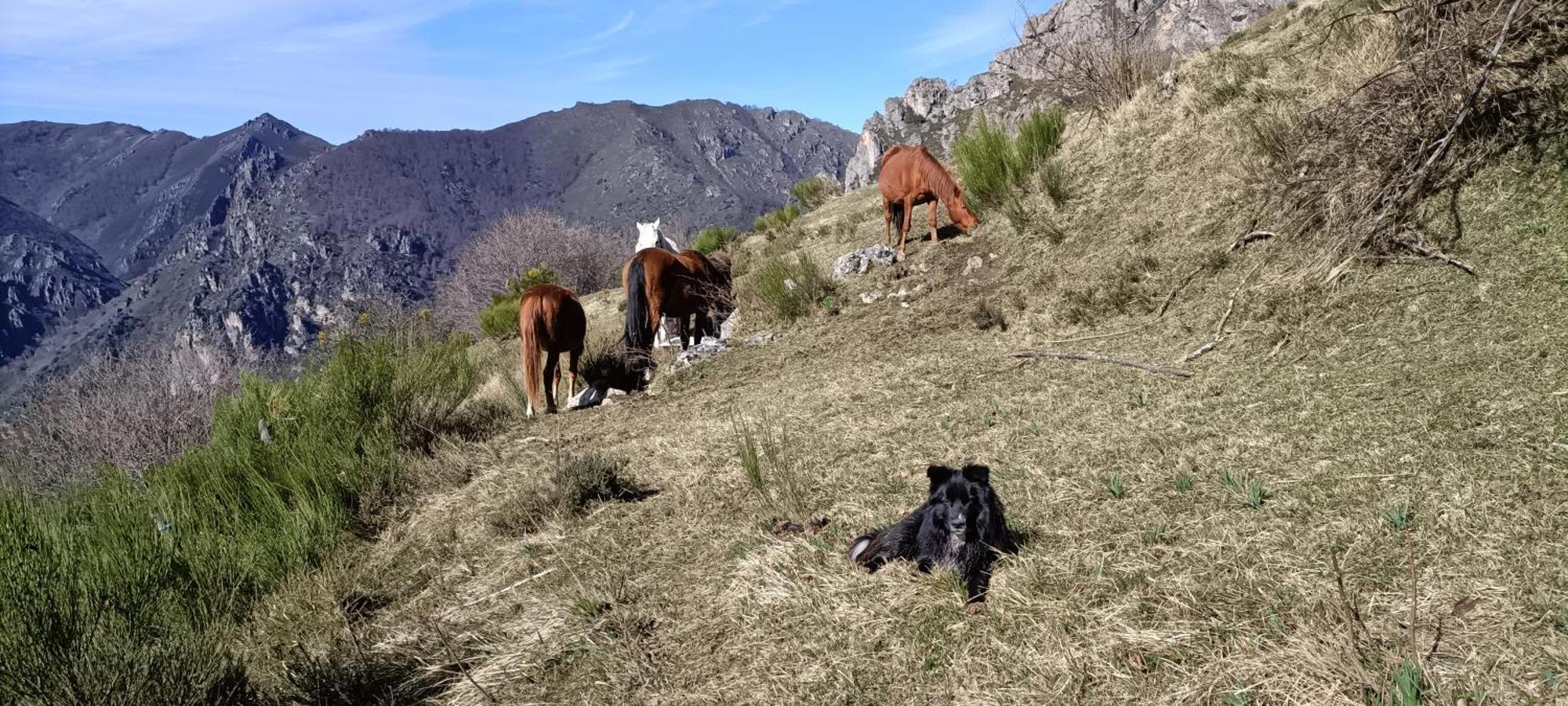 La Corona Del Auteiro Valle de Lago Εξωτερικό φωτογραφία